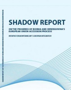 shadow_report